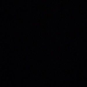 Meet your Posher, Casandra